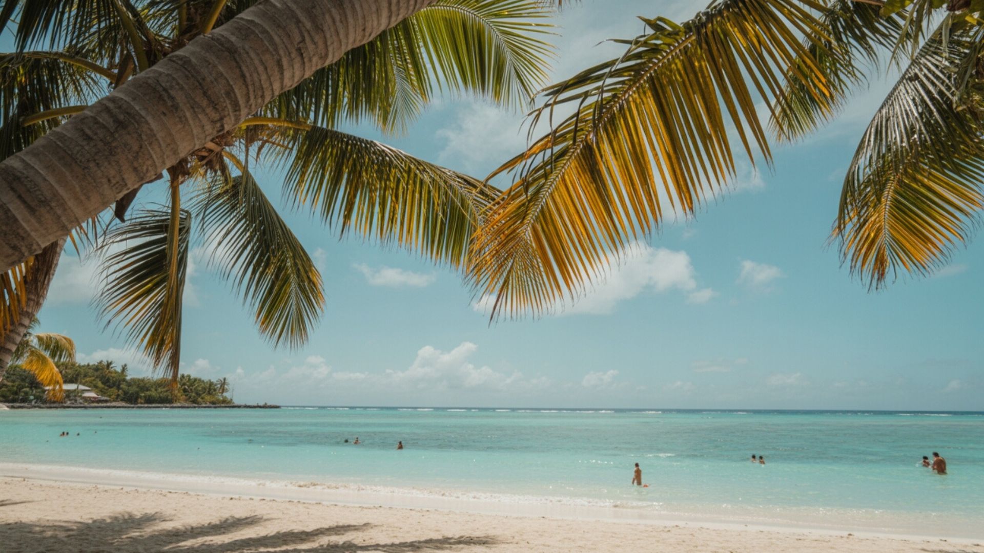 soft life aesthetic pictures pins