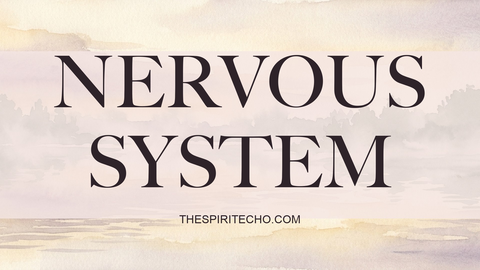 nervous system regulation — How to Regulate Your Nervous System: A Gentle Beginner's Guide